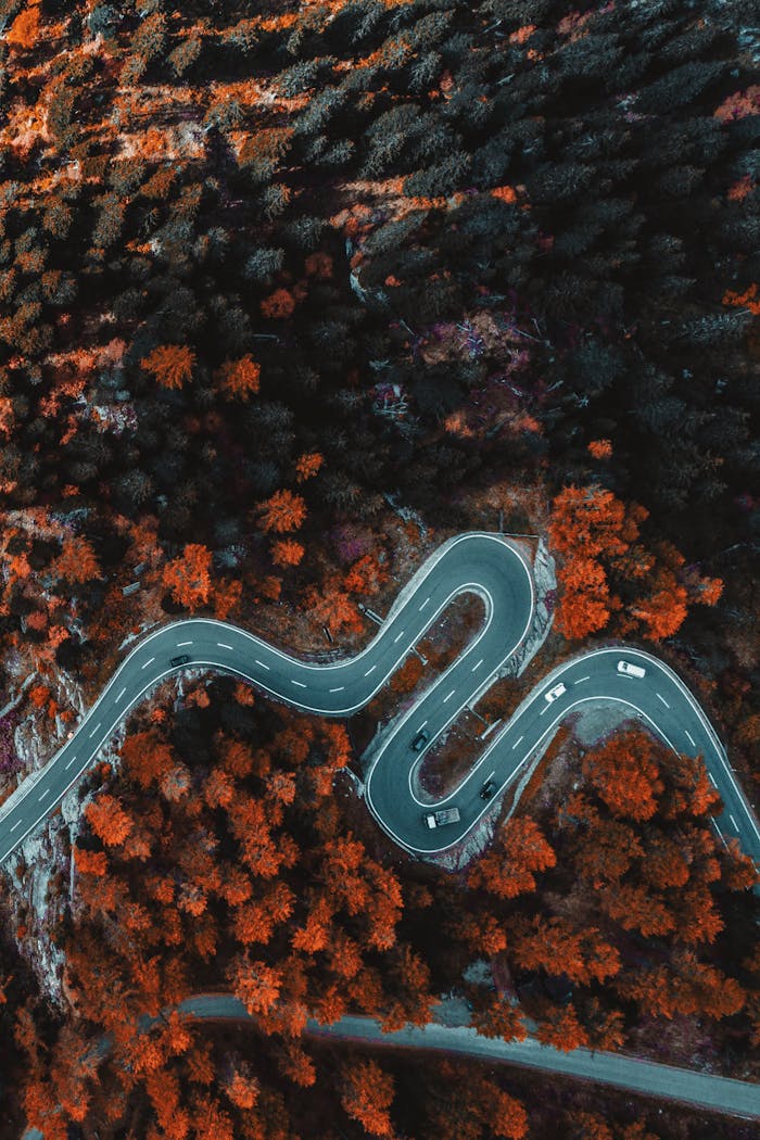 A stunning aerial view of a winding road through a forest in Bregaglia, Switzerland.